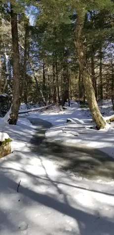 0 NE Northeast Cove Way Ellsworth ME 04605