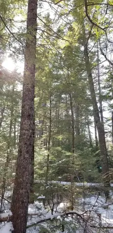 0 NE Northeast Cove Way Ellsworth ME 04605