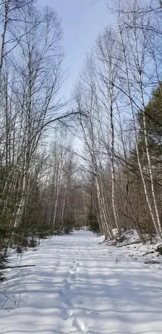 0 NE Northeast Cove Way Ellsworth ME 04605