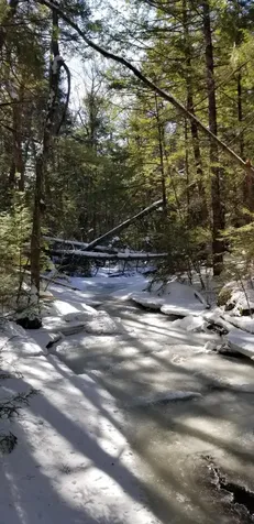 0 NE Northeast Cove Way Ellsworth ME 04605