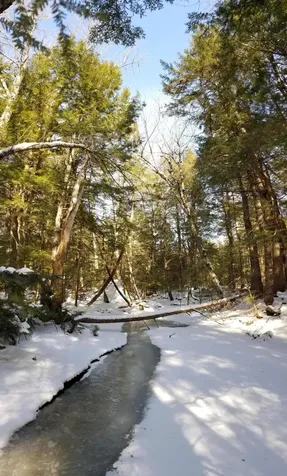 0 NE Northeast Cove Way Ellsworth ME 04605