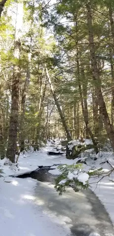 0 NE Northeast Cove Way Ellsworth ME 04605