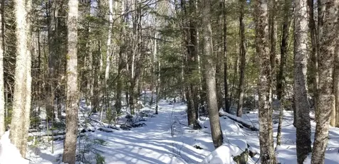 0 NE Northeast Cove Way Ellsworth ME 04605