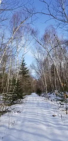 0 NE Northeast Cove Way Ellsworth ME 04605