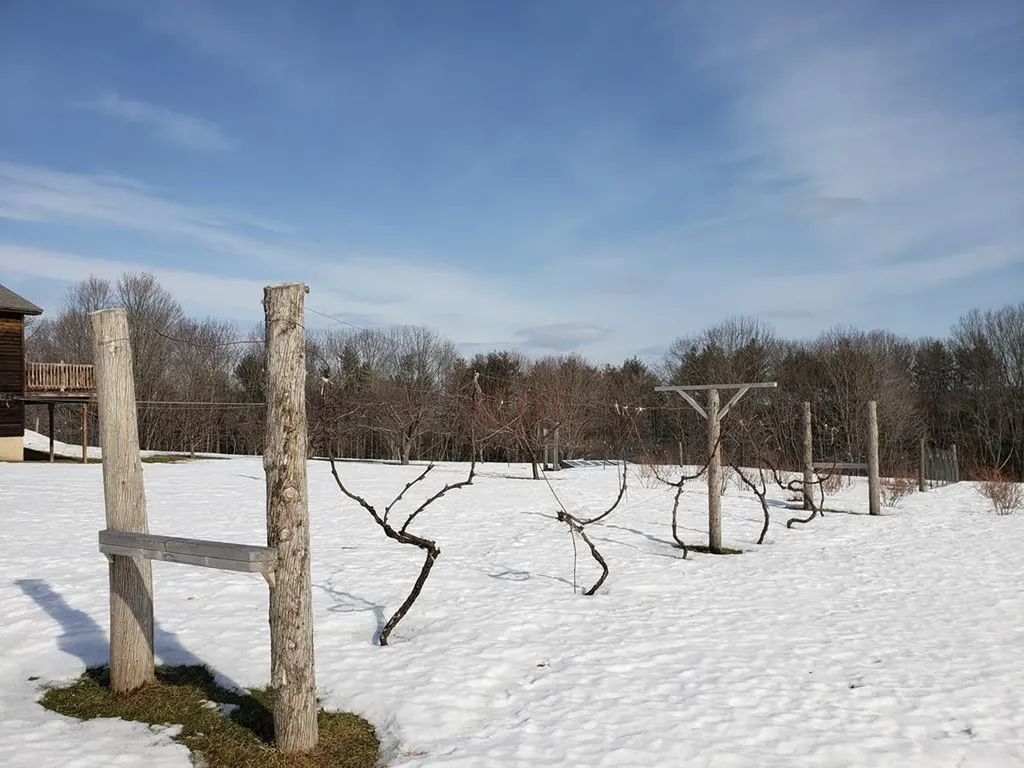 588 Wilder Hill Road Norridgewock ME 04957