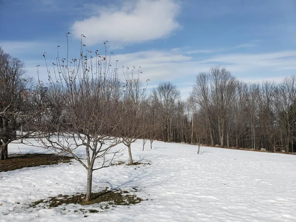 588 Wilder Hill Road Norridgewock ME 04957