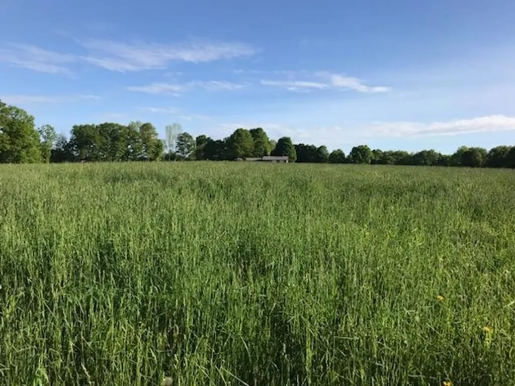 588 Wilder Hill Road Norridgewock ME 04957