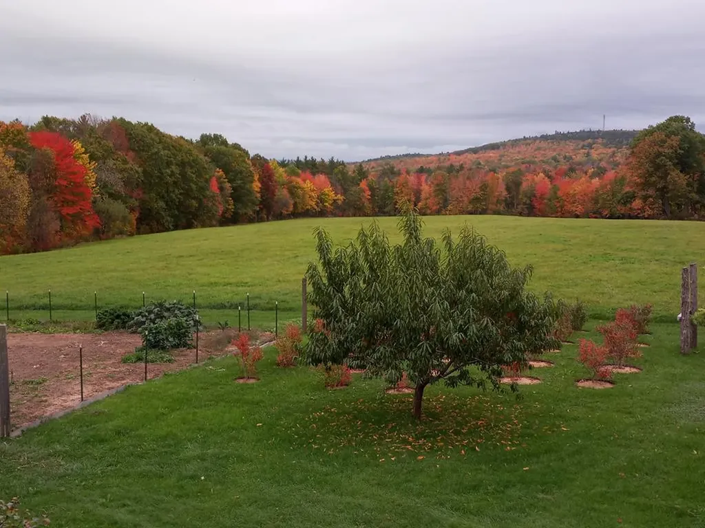 588 Wilder Hill Road Norridgewock ME 04957
