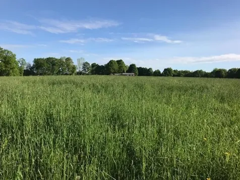 588 Wilder Hill Road Norridgewock ME 04957