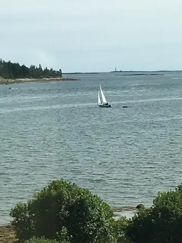33 Chipman Point Road Steuben ME 04680