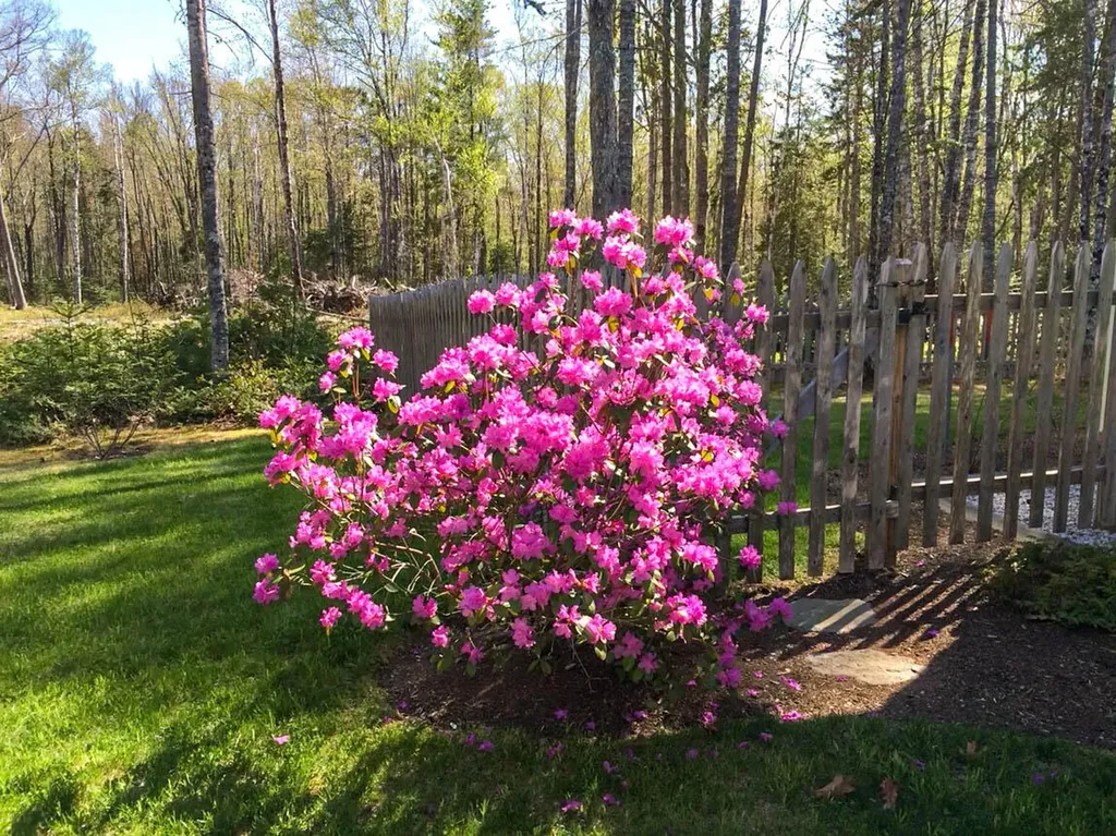 3 Stonehedge Drive Northport ME 04849