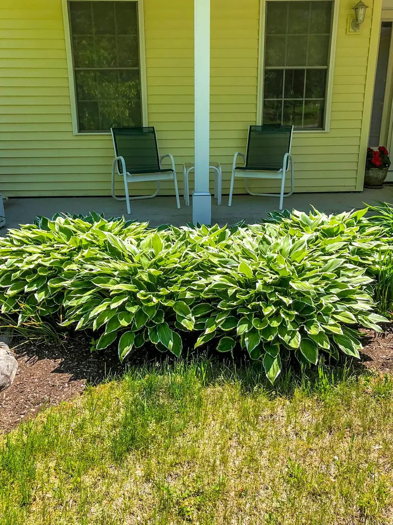 3 Stonehedge Drive Northport ME 04849