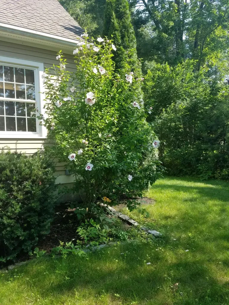 14 Windsor Pines Drive Scarborough ME 04074