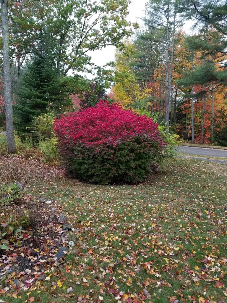 14 Windsor Pines Drive Scarborough ME 04074