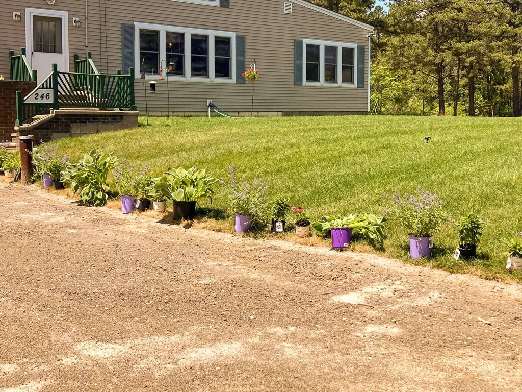 246 Granny Kent Pond Road Shapleigh ME 04076
