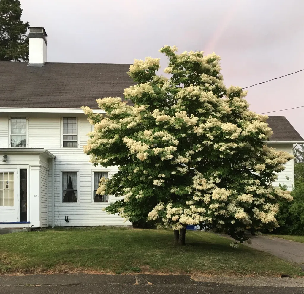 12 Knox Street Thomaston ME 04861