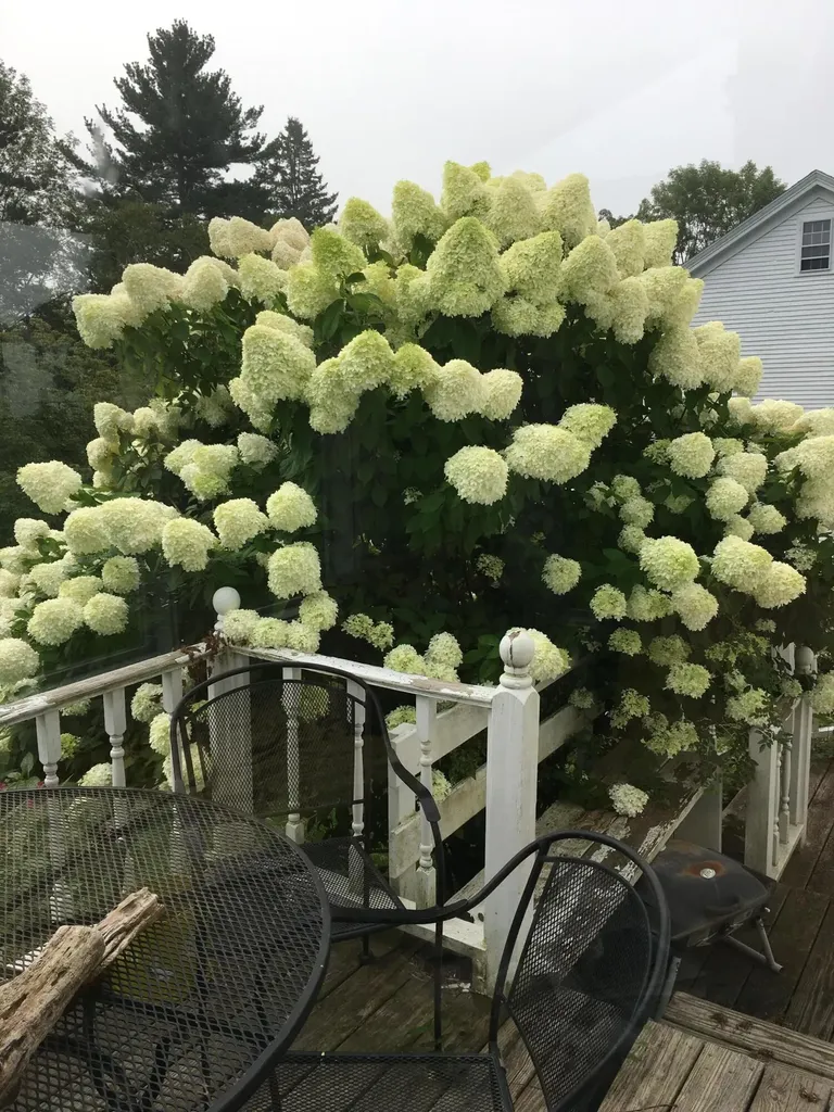 12 Knox Street Thomaston ME 04861