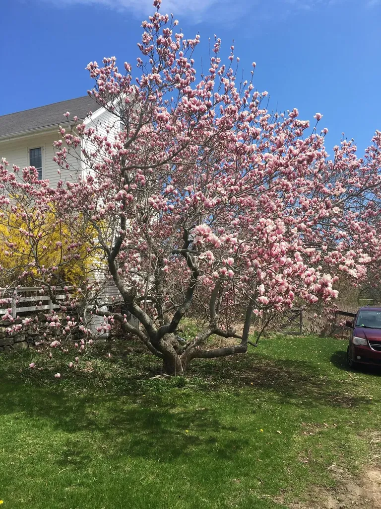 12 Knox Street Thomaston ME 04861