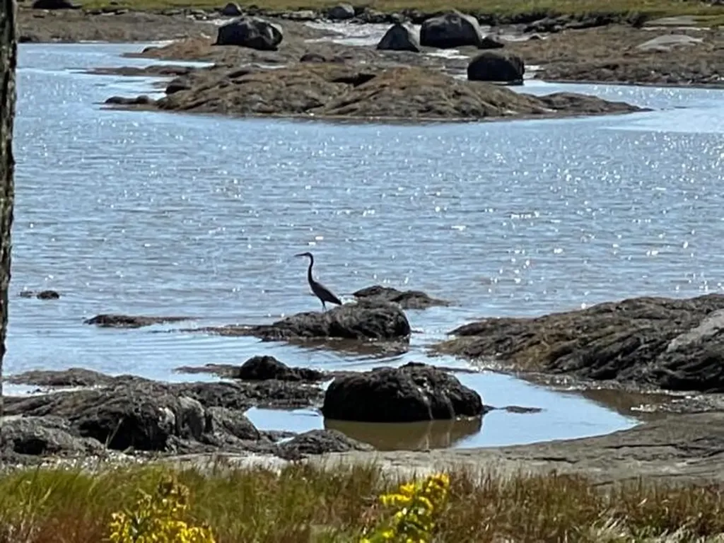 133 Scraggle Point Road Saint George ME 04859