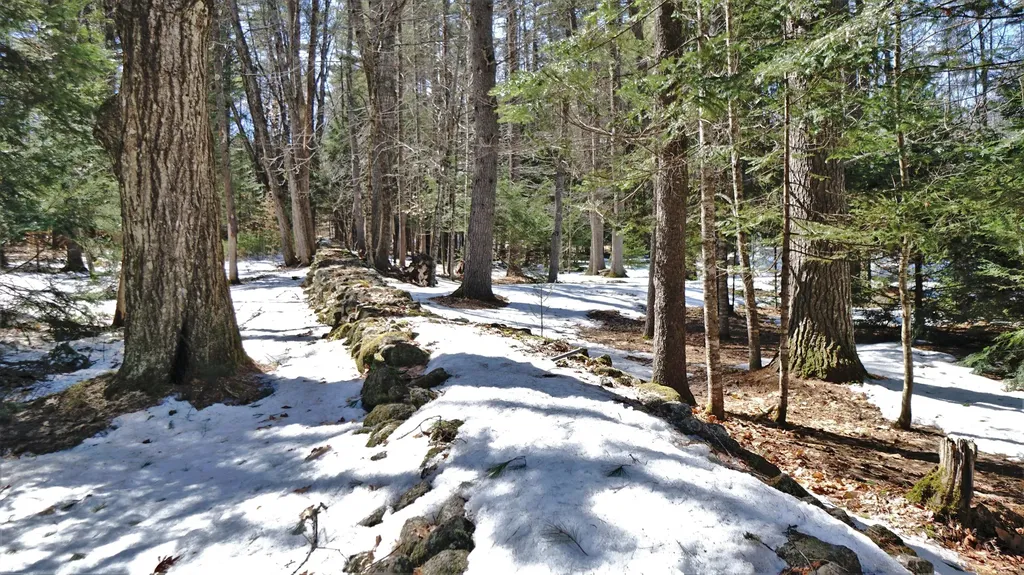 28 Bramble Road Bridgton ME 04009