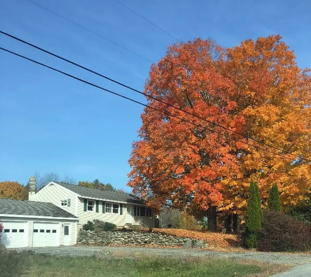 10 Purkis Road Buckfield ME 04220