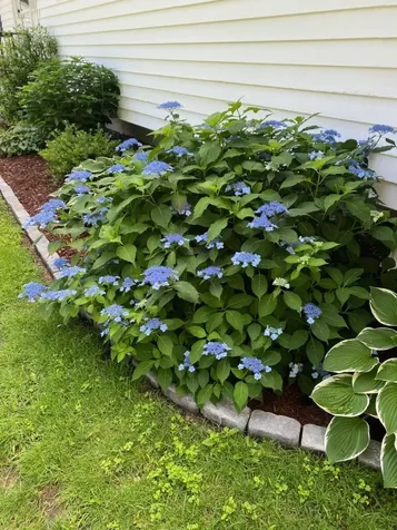 13 Spruce Lane Gorham ME 04038