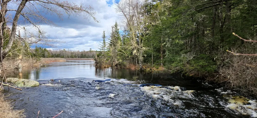 Lot #11 Webb Brook Subdivision Waltham ME 04605