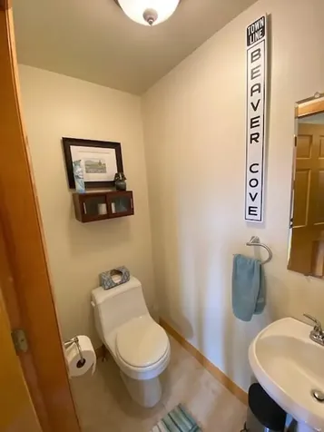 31 Wilson View Drive Greenville ME 04441