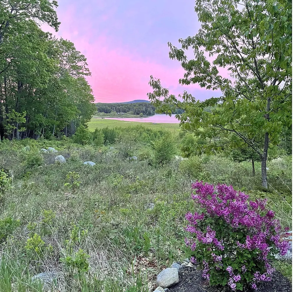 565 Bagaduce Road Brooksville ME 04617