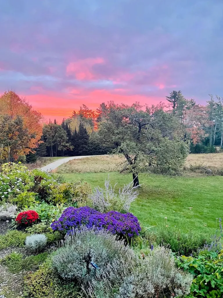 565 Bagaduce Road Brooksville ME 04617