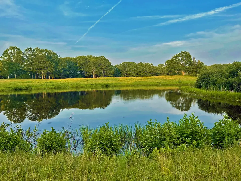 565 Bagaduce Road Brooksville ME 04617
