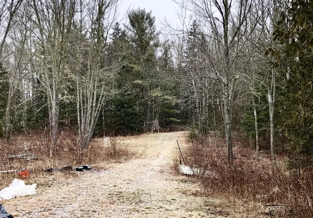 2150 Us Highway 1 Sullivan ME 04664
