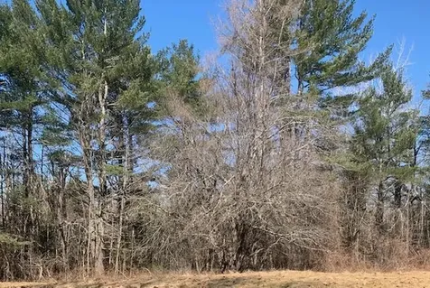 Lot 10-1 Snow Road Saint Albans ME 04971