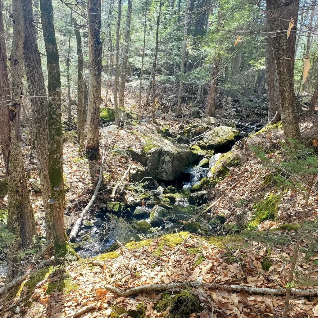 44 Beaver Pond Road Swanville ME 04915