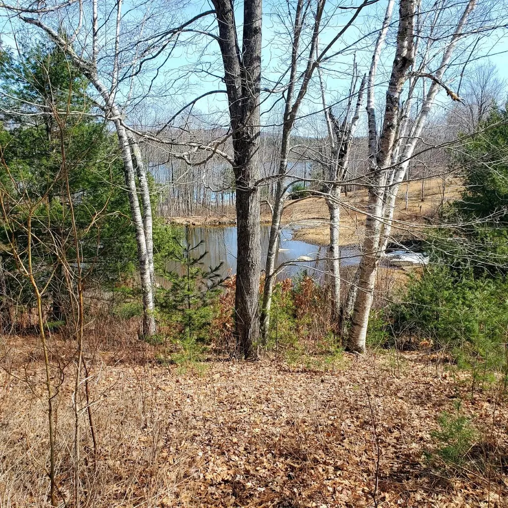 44 Beaver Pond Road Swanville ME 04915