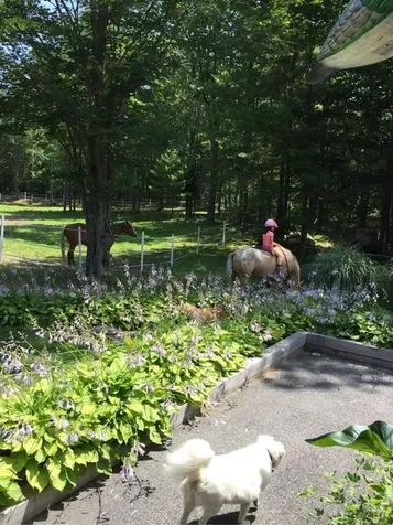 8 Evans Meadows Road Lyman ME 04002