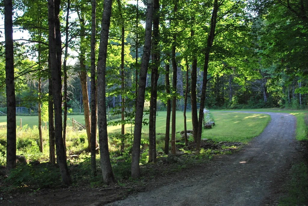 23 Stiles Road Harmony ME 04942