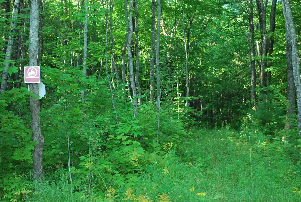 23 Stiles Road Harmony ME 04942
