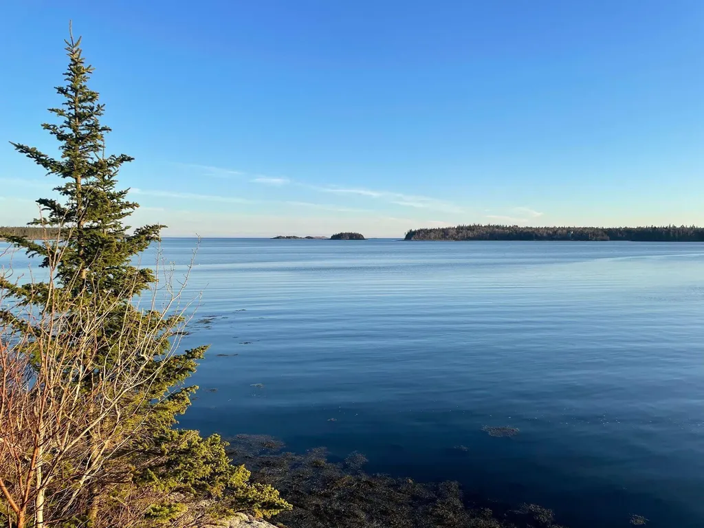 557 Yoho Head Road Machiasport ME 04655