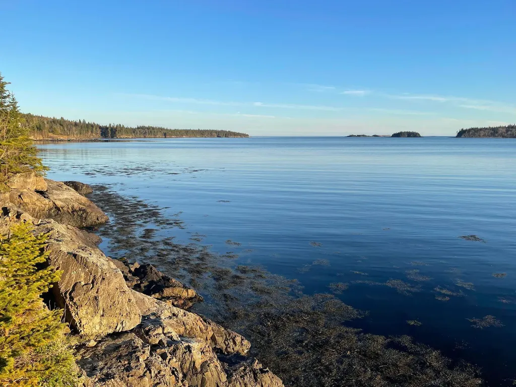 557 Yoho Head Road Machiasport ME 04655