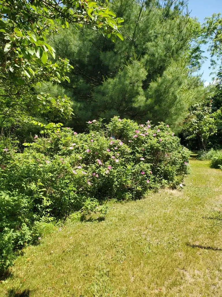 115 Town Farm Road Farmington ME 04938