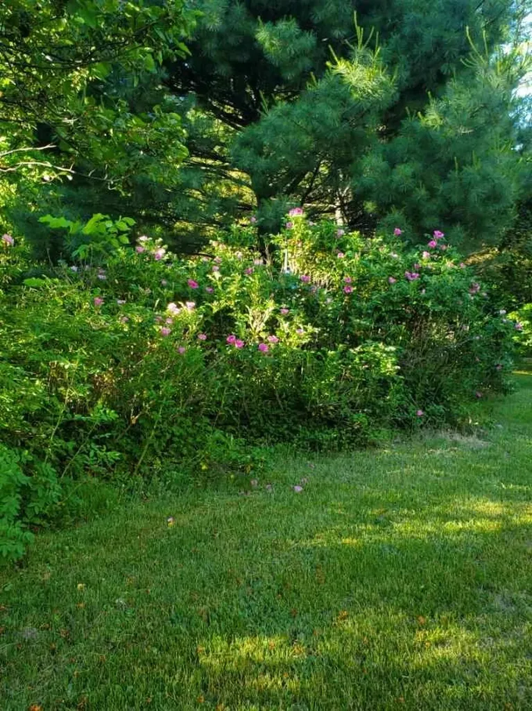 115 Town Farm Road Farmington ME 04938