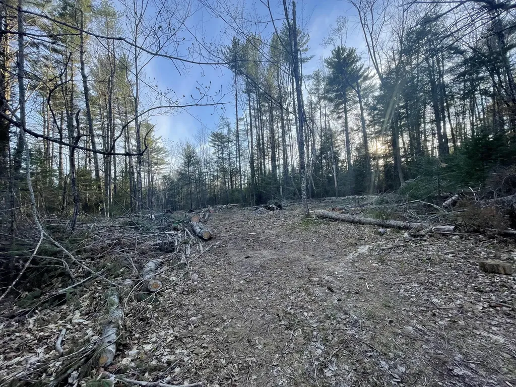 Lot 4/5 Dahlia Farm Road Newburgh ME 04444