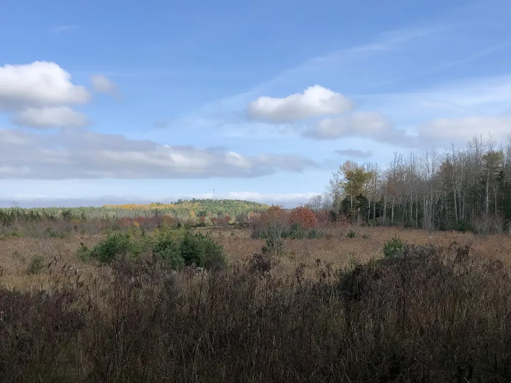 1170 Shore Road Lamoine ME 04605
