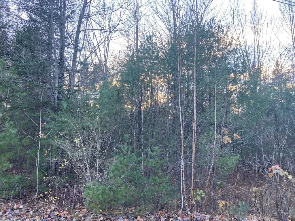2 Hidden Lane West Paris ME 04289