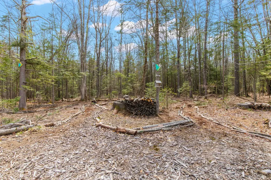 65 Conifer Way Arundel ME 04046