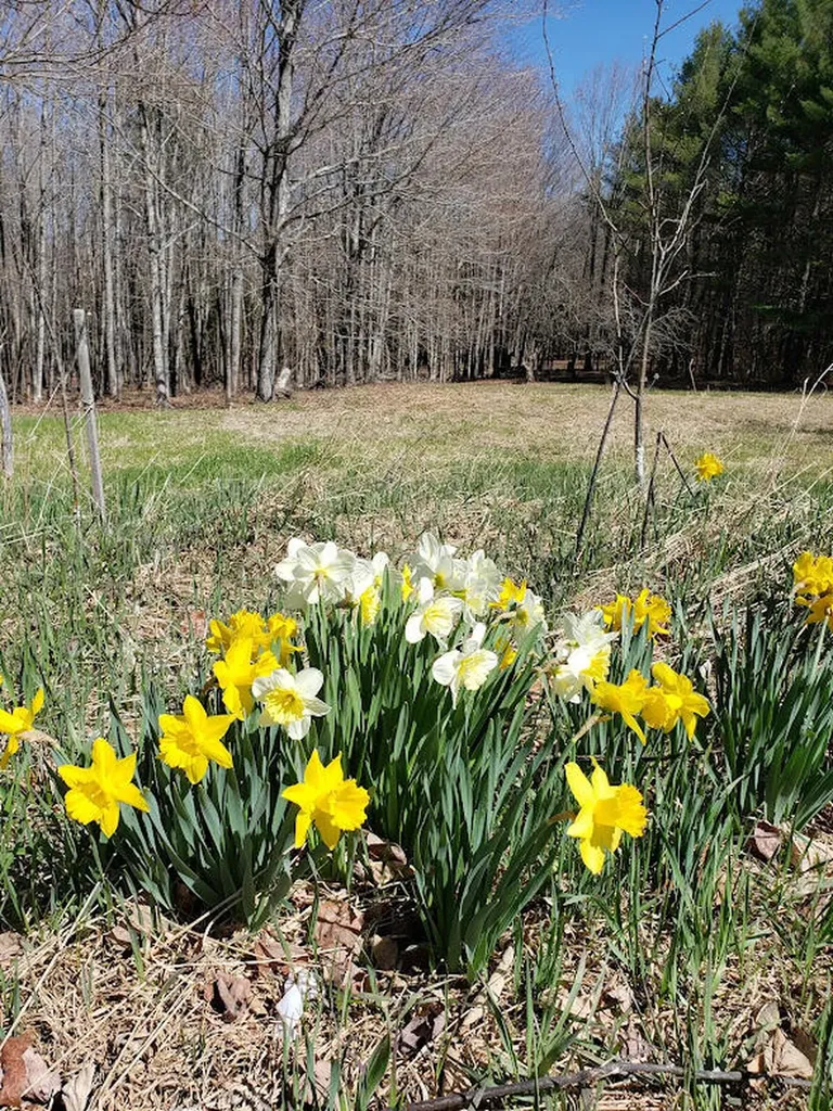 88 Hovey Road Milo ME 04463