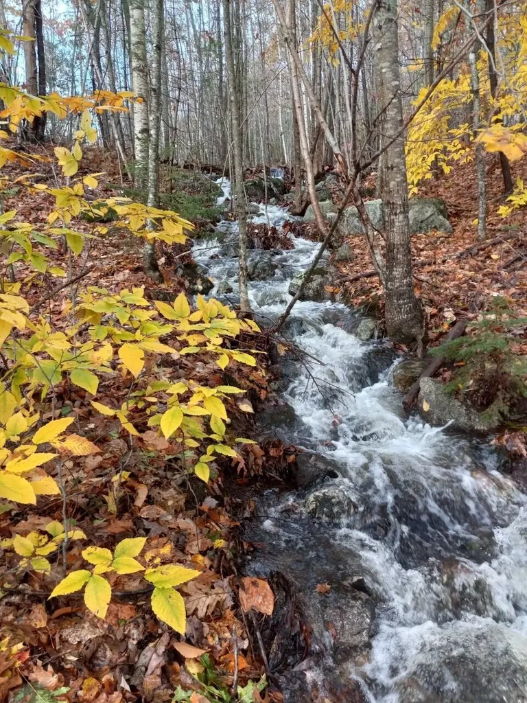 33 Beaver Pond Road Swanville ME 04915