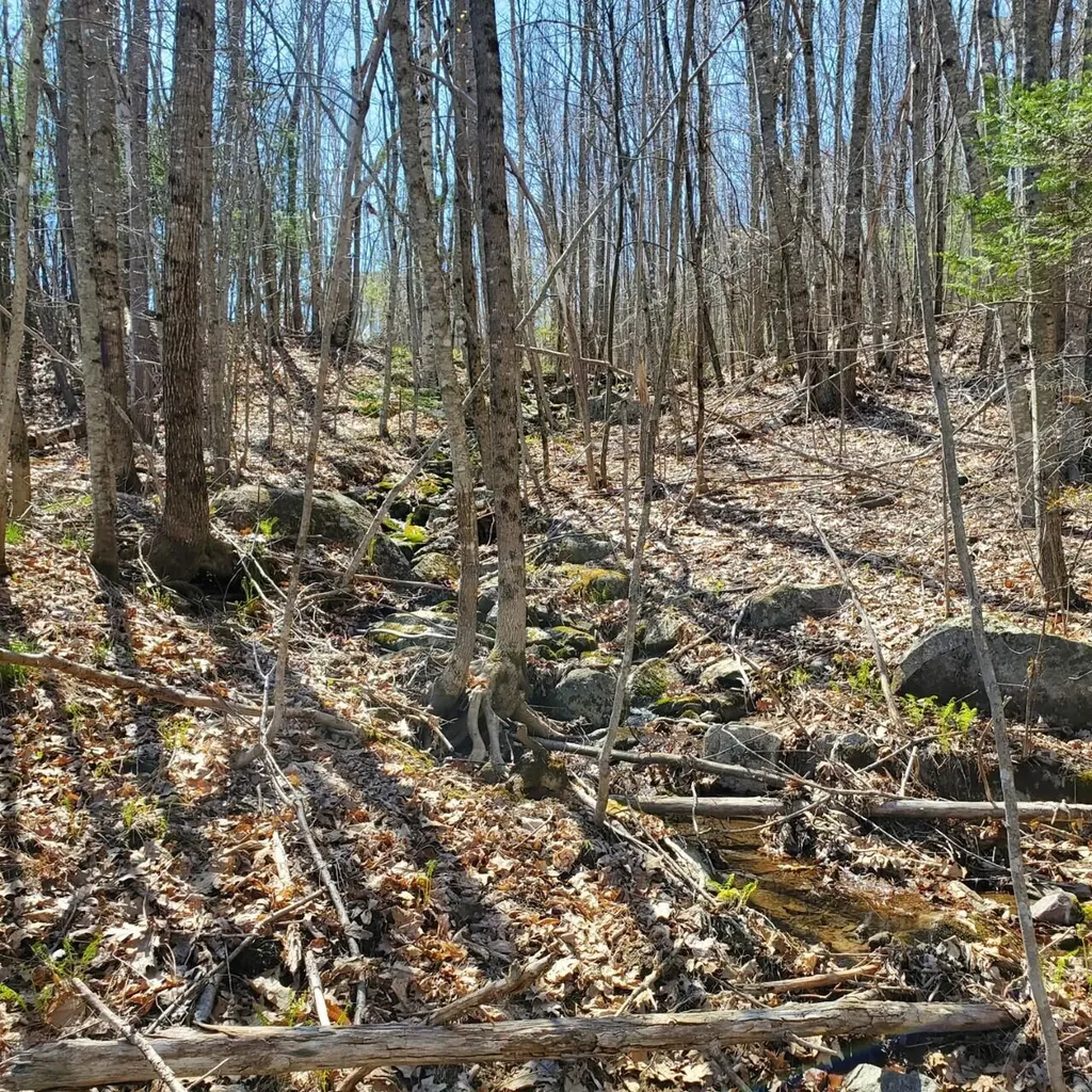 33 Beaver Pond Road Swanville ME 04915