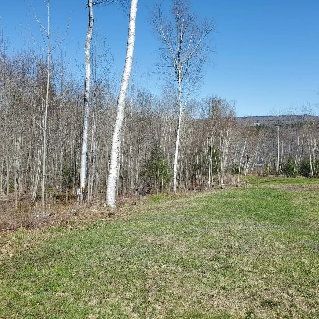33 Beaver Pond Road Swanville ME 04915